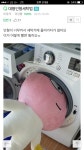 대형 인형 세탁법ㅠㅠ(feat.카카오프렌즈 어피치) - 인스티즈(instiz) 이슈 카테고리 대형 인형 세탁법ㅠㅠ(feat.카카오프렌즈 어피치)