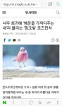 너무 희귀해 행운을 가져다주는 새라 불리는 핑크빛 로즈핀치... 카테고리 너무 희귀해 행운을 가져다주는 새라 불리는 핑크빛 로즈핀치