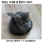 보문산 작은 메아리 - 인스티즈(instiz) 이슈 카테고리 보문산 작은 메아리