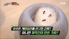 [식스센스3] 개미 식혜 소르베.jpg - 인스티즈(instiz) 이슈 카테고리 [식스센스3] 개미 식혜 소르베.jpg