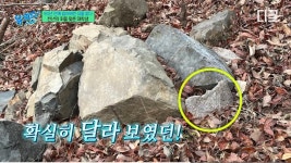[유퀴즈] 블로그 사진 보고 절터 찾아갔다가 발견한 금강역사상의... 블로그 사진 보고 절터 찾아갔다가 발견한 금강역사상의 마지막 조각