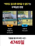 주유소 옥상 방치 13년, 할아버지가 돼 버린 백구 만복이를 위해 탄원 동참 부탁해!!! (화력 필요‼️) - 인스티즈(instiz) 이슈 카테고리 주유소... 
