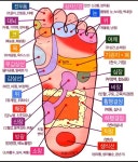 발이 너무아파서 혈자리알아봤어요 - 인스티즈(instiz) 이슈 카테고리 발이 너무아파서 혈자리알아봤어요