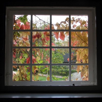 Insulate Your Windows: 6 Steps Insulate Your Windows | 웹