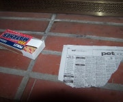 Activity : adhesive22 adhesive22