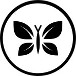 Honest Company Inc (HNST) 과거 가격 데이터 - Investing.com