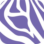 Zevra Therapeutics Inc (ZVRA) Stock Chart - Investing.com