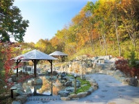 엔젤 포레스트 나스 시라카와 - 호텔 객실 & 가격 | 시라카와, 하토리코, 후쿠시마 호텔과 여관 | Jalan : 호텔 예약 사이트