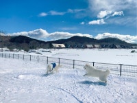 엔젤 포레스트 나스 시라카와 - 호텔 객실 & 가격 | 시라카와, 하토리코, 후쿠시마 호텔과 여관 | Jalan : 호텔 예약 사이트