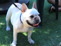 기요미소 - 민박 객실 & 가격 | 오고토, 가타타, 시가 호텔과 여관 | Jalan : 호텔 예약 사이트