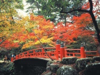 Grand Prince Hotel Hiroshima - Hotels Rooms & Rates | Hiroshima, Hiroshima Hotels & Ryokan | Jalan : Hotel Booking Site