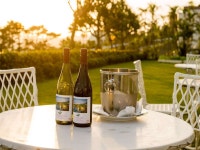 카누차 베이 호텔 앤 빌라즈 - 호텔 객실 & 가격 | 나고, 오키나와 호텔과 여관 | Jalan : 호텔 예약 사이트