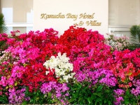 카누차 베이 호텔 앤 빌라즈 - 호텔 객실 & 가격 | 나고, 오키나와 호텔과 여관 | Jalan : 호텔 예약 사이트