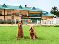 유후인 가든 호텔 도그 런 앤 리조트 - 여관 객실 & 가격 | 유후인, 유노히라, 오이타 호텔과 여관 | Jalan : 호텔 예약 사이트