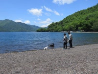 Kinugawa Kokusai Hotel - Ryokans Rooms & Rates | Kinugawa, Kawaji, Tochigi Hotels & Ryokan | Jalan : Hotel Booking Site