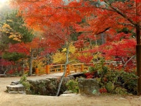 Miyajima Hotel Makoto - Ryokans Rooms & Rates | Miyajima, Hatsukaichi, Hiroshima Hotels & Ryokan | Jalan : Hotel Booking Site