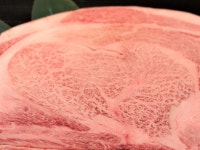 奥日光 森のホテルの写真 - 宿泊予約は＜じゃらんnet＞