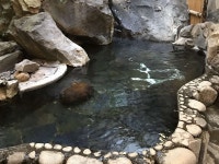 箱根宮ノ下温泉　月廼屋旅館の写真 - 宿泊予約は＜じゃらん＞ 箱根宮ノ下温泉　月廼屋旅館の写真- 宿泊予約は＜じゃらん＞