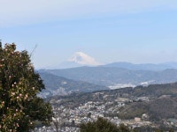 海一望海鮮洋食フルコースの宿　「ピーコックヒル」の写真 - 宿泊予約は＜じゃらん＞ 海一望海鮮洋食フルコースの宿　「ピーコックヒル」... 