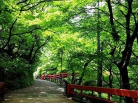 Ikaho hot springs Tsukagoshiya Shichibee - 여관 객실 & 가격 | 시부카와, 이카호, 군마 호텔과 여관 | Jalan : 호텔 예약 사이트