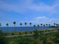 카메가와 마리나 게스트하우스 - 호텔 객실 & 가격 | 벳푸, 오이타 호텔과 여관 | Jalan : 호텔 예약 사이트