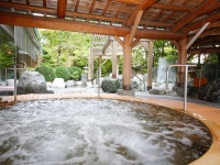 다카야마 그린호텔 - 호텔 객실 & 가격 | 히다타카야마, 뉴카와, 기후 호텔과 여관 | Jalan : 호텔 예약 사이트 다카야마 그린호텔  - 호텔 객실... 