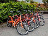 다카야마 그린호텔 - 호텔 객실 & 가격 | 히다타카야마, 뉴카와, 기후 호텔과 여관 | Jalan : 호텔 예약 사이트 다카야마 그린호텔  - 호텔 객실... 