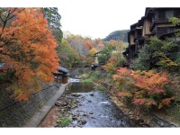 Ryokan Wakaba - 여관 객실 & 가격 | 구로카와, 오다, 다노하라, 만간지, 구마모토 호텔과 여관 | Jalan : 호텔 예약 사이트
