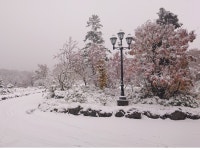 Hakkoda Hotel - 호텔 객실 & 가격 | 아오모리, 아사무시, 핫코다, 아오모리 호텔과 여관 | Jalan : 호텔 예약 사이트