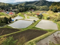 타마미네 산장 - 여관 객실 & 가격 | 오쿠이즈모, 운난, 시마네 호텔과 여관 | Jalan : 호텔 예약 사이트