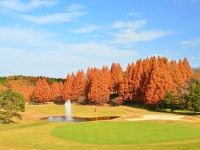 무라사키즈카 골프 클럽 호텔 그린 힐 - 호텔 객실 & 가격 | 사쿠라, 도치기 호텔과 여관 | Jalan : 호텔 예약 사이트