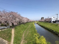 コンフォートホテル豊川の写真 - 宿泊予約は＜じゃらん＞ コンフォートホテル豊川の写真- 宿泊予約は＜じゃらん＞