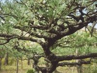 ホテルインディゴ犬山有楽苑 by IHGの写真 - 宿泊予約は＜じゃらんnet＞