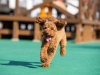 THE　TRAILERHOUSE　VILLAGE　天草　MARINAの写真 - 宿泊予約は＜じゃらんnet＞