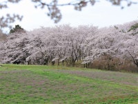 小さなホテル　セラヴィ　 露天風呂客室の宿の写真 - 宿泊予約は＜じゃらんnet＞