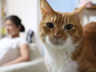 YAYOI B and B Hostel with private room Guest house - 민박 객실 & 가격 | 시마지리, 오키나와 호텔과 여관 | Jalan : 호텔 예약 사이트