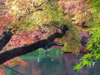ホテル　サイプレス軽井沢の写真 - 宿泊予約は＜じゃらん＞ ホテル　サイプレス軽井沢の写真- 宿泊予約は＜じゃらん＞