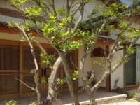 센코보 - 민박 객실 & 가격 | 오다, 유노쓰, 시마네 호텔과 여관 | Jalan : 호텔 예약 사이트