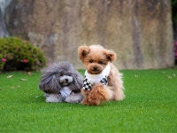 가게쓰 별장 ～The ONE～ - 민박 객실 & 가격 | 이사와, 가쓰누마, 엔잔, 야마나시 호텔과 여관 | Jalan : 호텔 예약 사이트