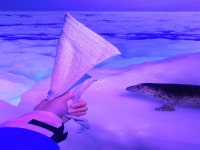 천연온천 천도의 탕 도미인 아바시리 - 호텔 객실 & 가격 | 아바시리, 기타미, 홋카이도 호텔과 여관 | Jalan : 호텔 예약 사이트