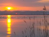 アパホテル〈仙台駅五橋〉の写真 - 宿泊予約は＜じゃらんnet＞
