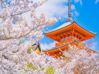 Tokyu Stay Kyoto Sakaiza - 호텔 객실 & 가격 | 가와라마치 주변, 교토 호텔과 여관 | Jalan : 호텔 예약 사이트