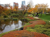 그랜드 하얏트 도쿄 - 호텔 객실 & 가격 | 롯폰기, 아자부, 도라노몬, 도쿄 호텔과 여관 | Jalan : 호텔 예약 사이트