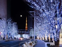 그랜드 하얏트 도쿄 - 호텔 객실 & 가격 | 롯폰기, 아자부, 도라노몬, 도쿄 호텔과 여관 | Jalan : 호텔 예약 사이트