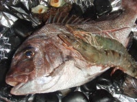 민박 시라나미소 - 민박 객실 & 가격 | 미나미아와지, 효고 호텔과 여관 | Jalan : 호텔 예약 사이트