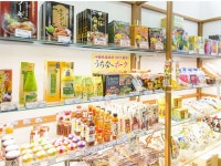 온나 마린 뷰 팔레스 - 호텔 객실 & 가격 | 서해안, 오키나와 호텔과 여관 | Jalan : 호텔 예약 사이트