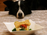 dogs pension 샤논치 - 펜션 객실 & 가격 | 나스, 이타무로, 도치기 호텔과 여관 | Jalan : 호텔 예약 사이트