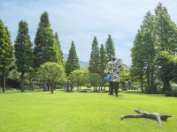 Hakone Kowakien Ten-yu - Ryokans Rooms & Rates | Hakone, Kanagawa Hotels & Ryokan | Jalan : Hotel Booking Site