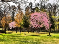 호텔 파크 힐즈 - 호텔 객실 & 가격 | 비에이, 홋카이도 호텔과 여관 | Jalan : 호텔 예약 사이트