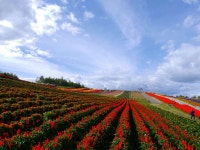 호텔 파크 힐즈 - 호텔 객실 & 가격 | 비에이, 홋카이도 호텔과 여관 | Jalan : 호텔 예약 사이트